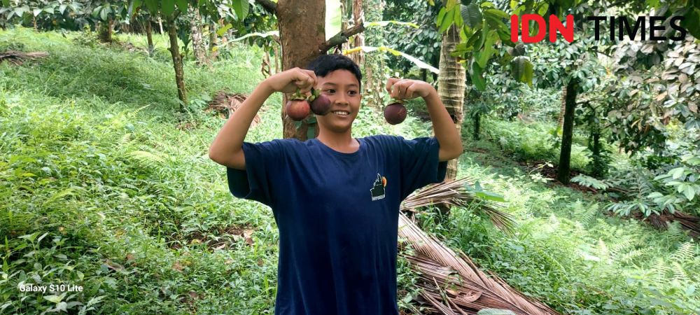 Sensasi Petik dan Makan Durian Langsung di Tabanan