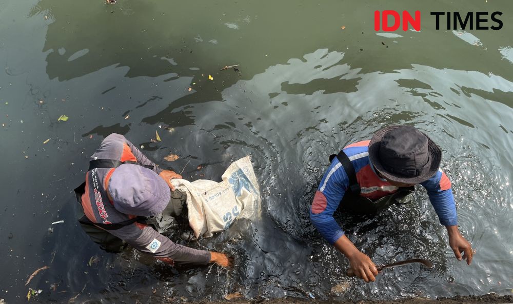 Antisipasi Banjir di Semarang, BRI Bersihkan Sungai Krobokan dan Tanam Pohon