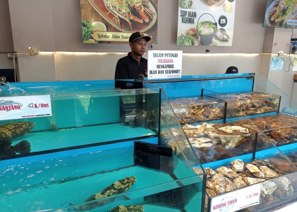 Olahan Live Seafood Pilihan Kuliner Ikan Segar di Jogja