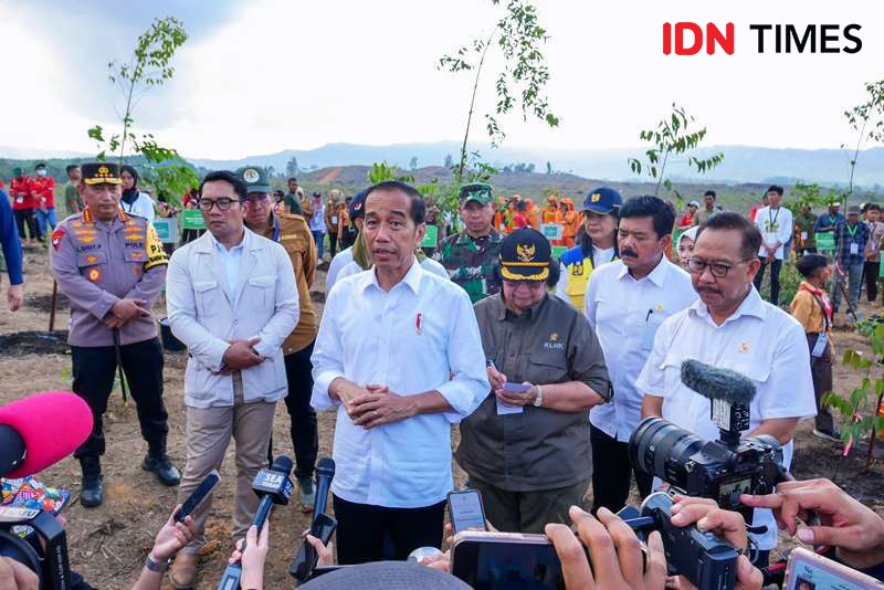 Upaya Rehabilitasi Hutan dan Lahan, Presiden Tanam Pohon di IKN