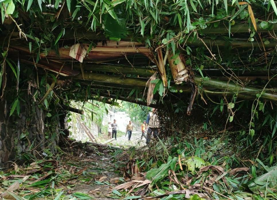 Rumpun Bambu Roboh Tutup Jalur Alternatif di Kawasan Wisata Lembang
