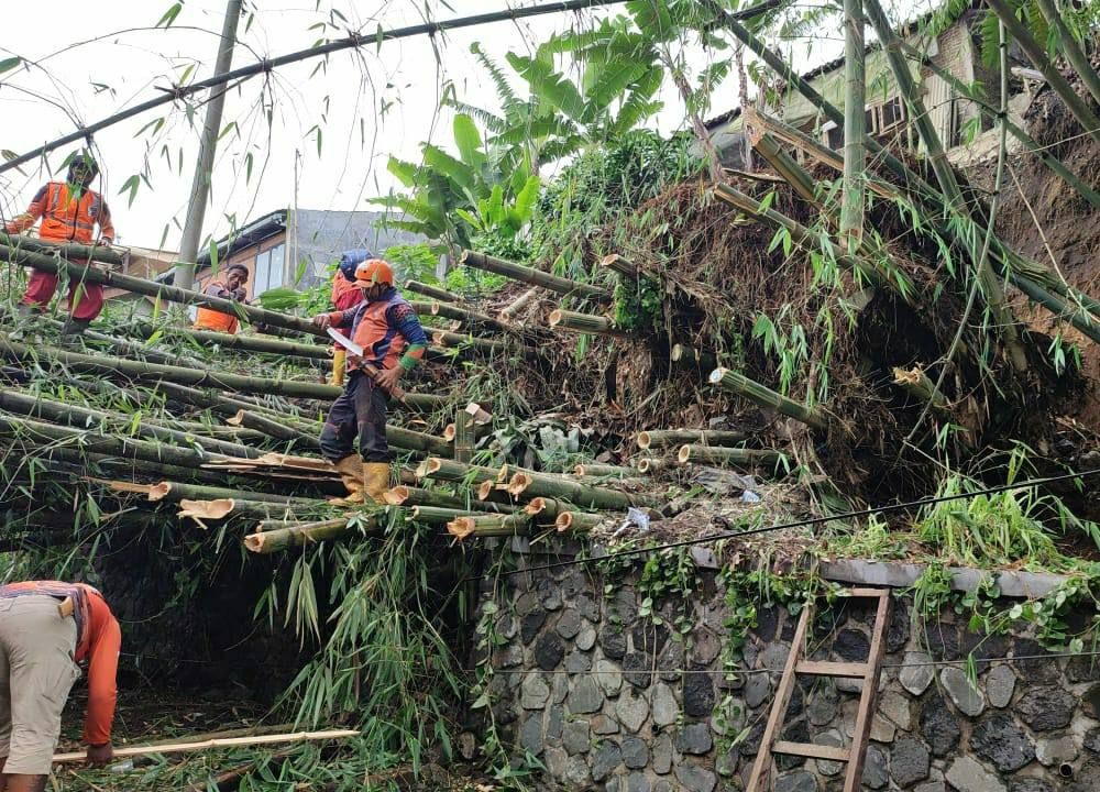 Rumpun Bambu Roboh Tutup Jalur Alternatif di Kawasan Wisata Lembang