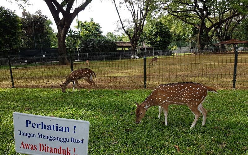 7 Taman Kota Bekasi untuk Wisata dan Rekreasi Keluarga