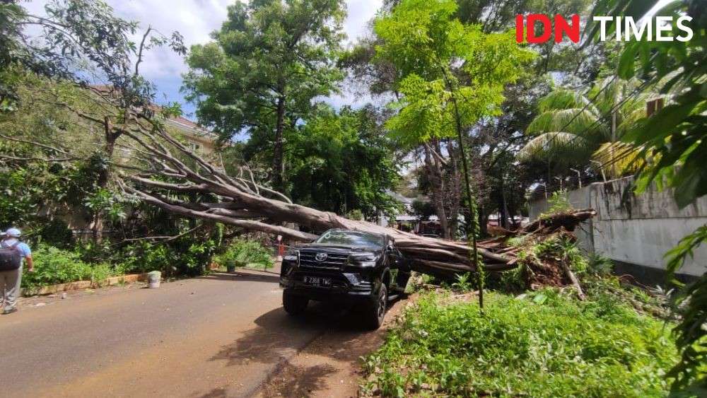 Pohon Tumbang Timpa Mobil Di Dekat Rumah Prabowo