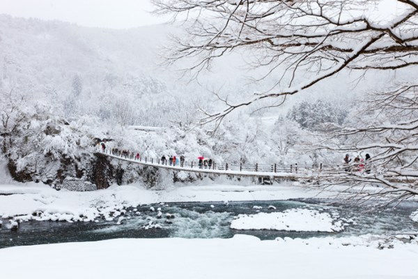 Temukan Pilihan Destinasi Wisata Musim Dingin di Jepang yang Tepat Berdasarkan Golongan Darahmu!