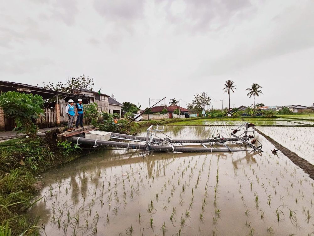 Tips PLN Lampung ke Warga Hadapi Cuaca Ekstrem dan Banjir