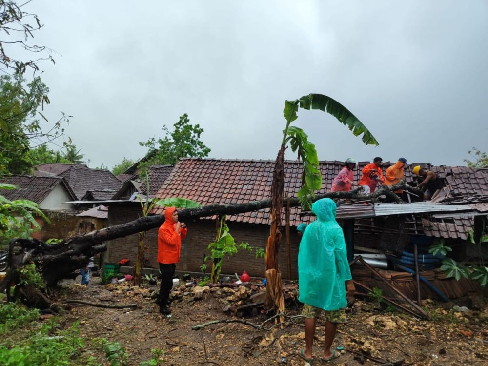 Hujan Lebat dan Angin Kencang di Bantul, 51 Pohon Tumbang