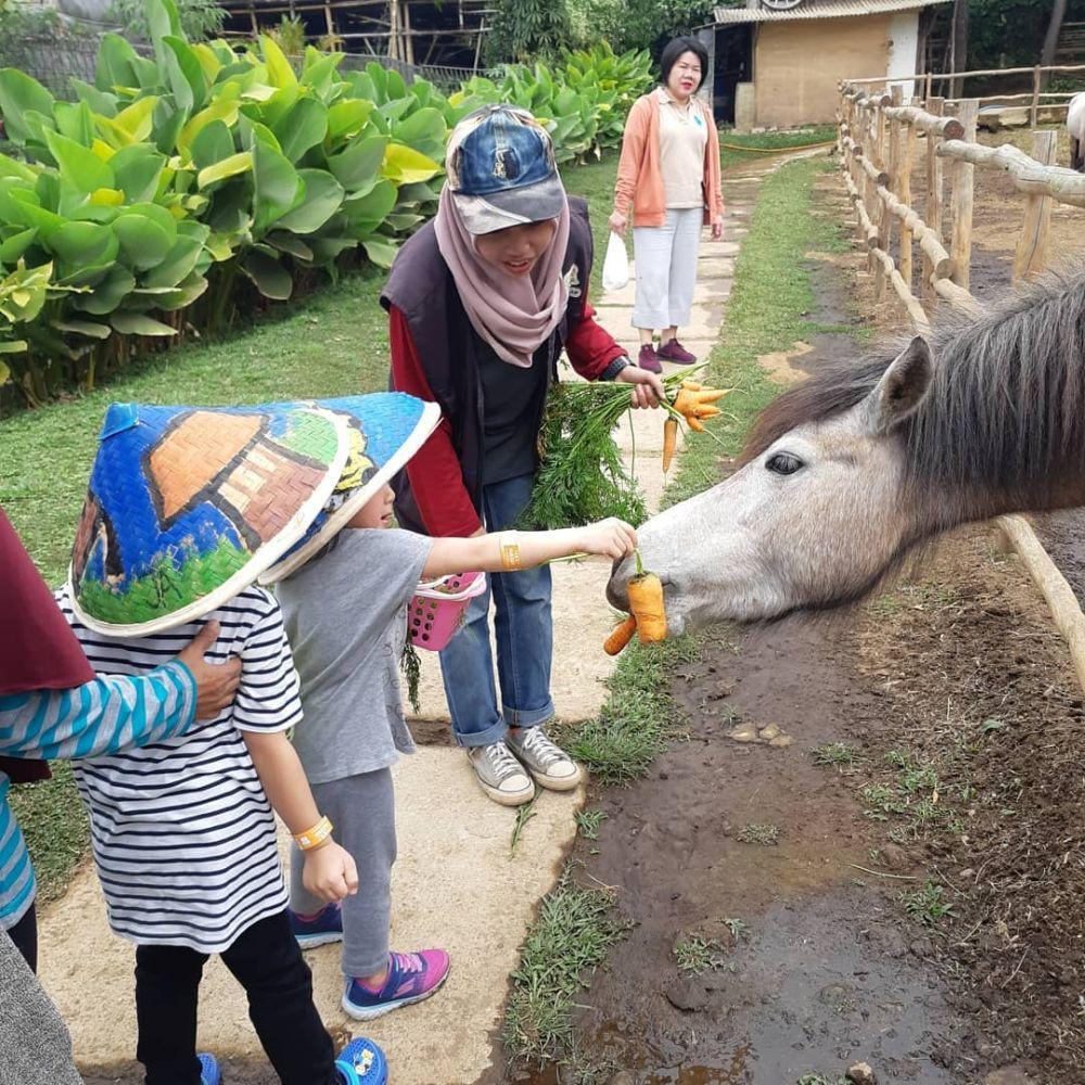 4 Wisata Edukasi Peternakan di Bandung