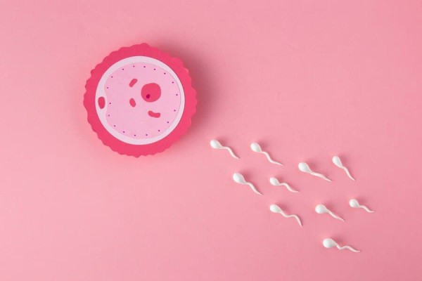 3 Cara Mencegah Kehamilan Jika Sperma Terlanjur Masuk