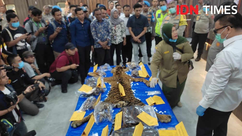 Polisi Tangkap 2 Penjual Kulit dan Tulang Belulang Harimau Sumatra