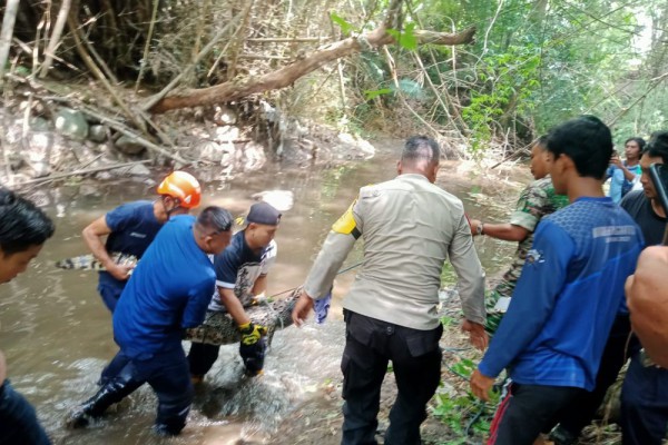 Warga Di Selomartani Dihebohkan Kemunculan Seekor Buaya