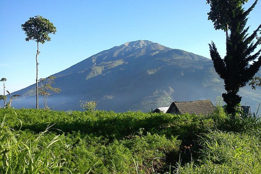 Mitos Pasar Setan Yang Populer Di Kalangan Pendaki Gunung