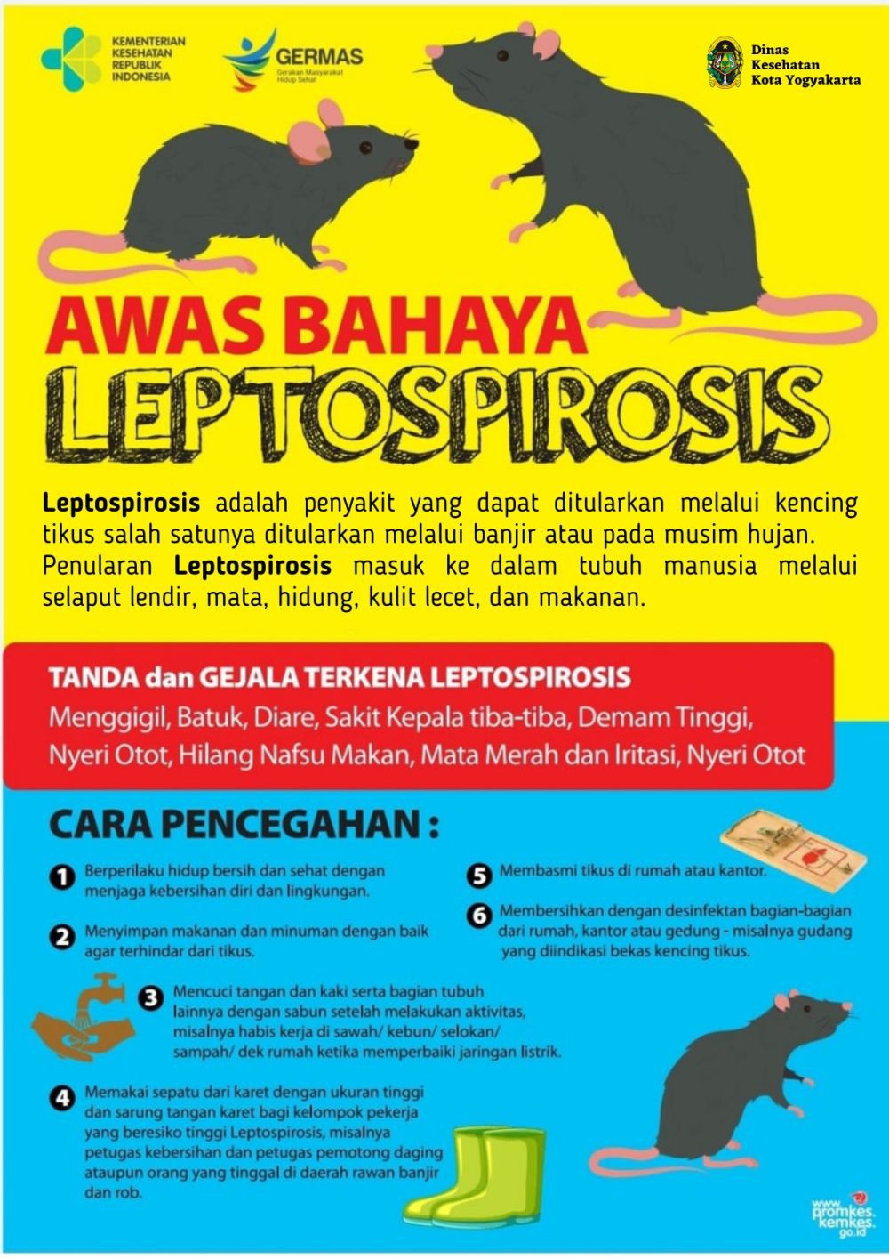 Pemkot Surakarta Bantah ada Warga Solo Meninggal Karena Leptospirosis