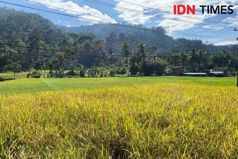 Kementan Berikan Bantuan Rp10,94 Miliar untuk Petani di Lombok Tengah