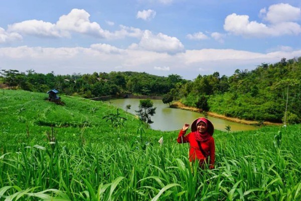 5 Desa Wisata di Sukabumi yang Wajib dan Menarik Dikunjungi