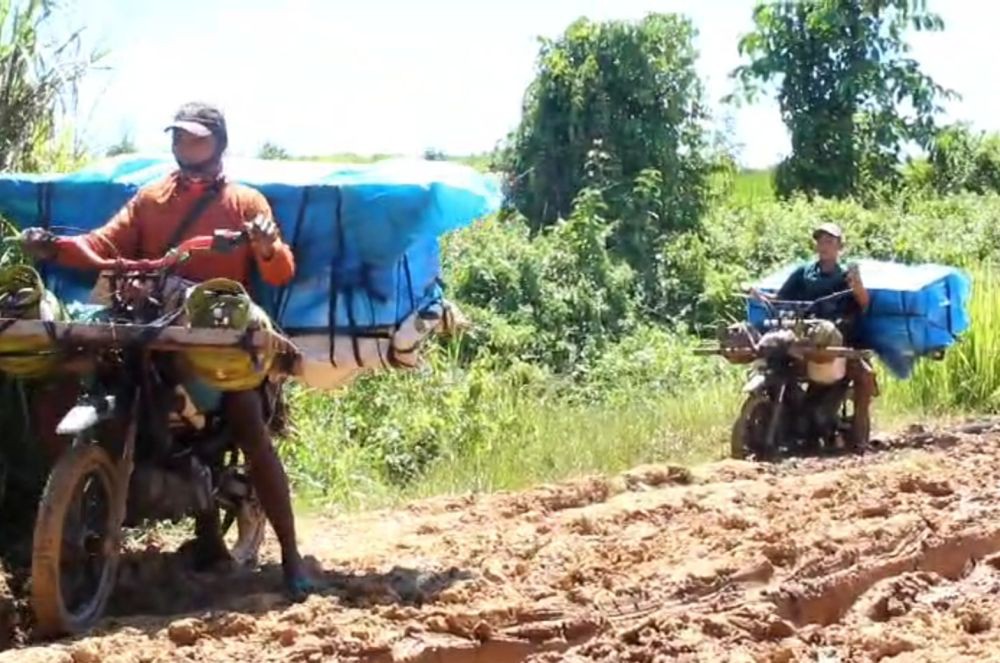 10 Potret Distribusi Logistik Pemilu Daerah Terpencil Pakai Gerobak Sapi