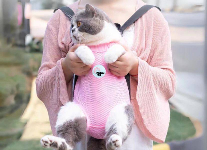 6 Jenis Pet Bag untuk Pawrent! Bentuknya Lucu tapi Keren