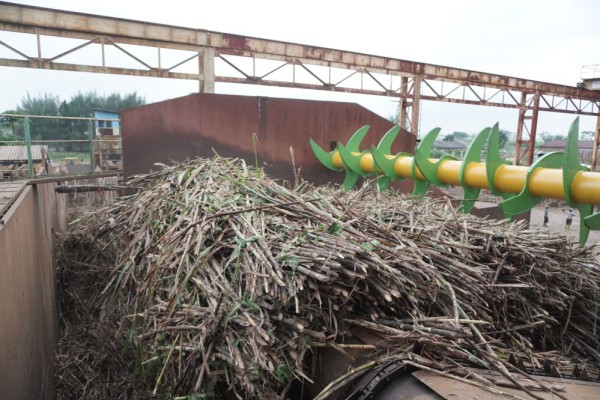 ID FOOD Susun Peta Jalan Teknologi Kejar Swasembada Gula