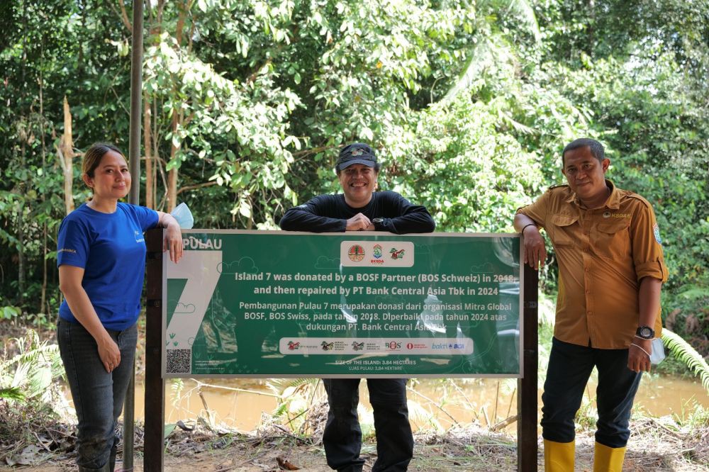 Kontribusi BCA dalam Perbaikan 4 Pulau Konservasi Orangutan BOSF