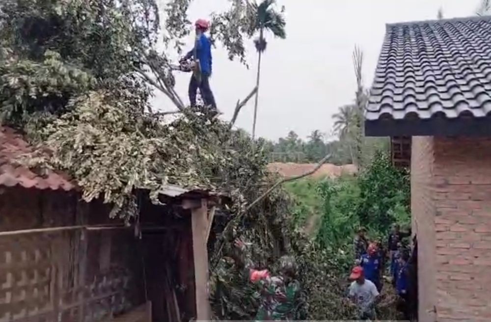 Rumdin Camat Semarang Selatan Rusak Parah Tertimpa Pohon Jati
