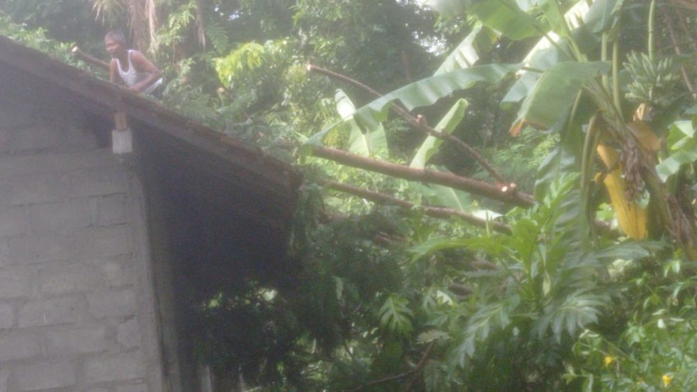 Ratusan Pohon hingga 1 Orang Luka Berat Akibat Cuaca Ekstrem di Jogja