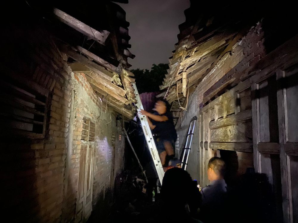 Kakek di Bantul Meninggal Diserang Kawanan Tawon Gung