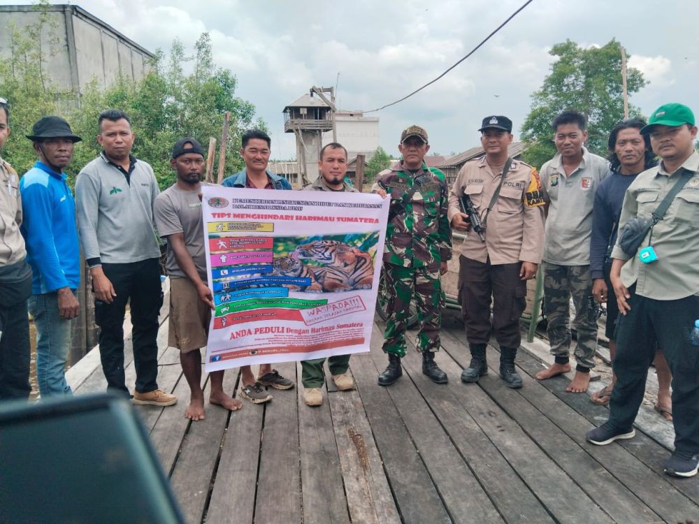 Seorang Pencari Sagu di Riau Diserang Harimau Sumatra 