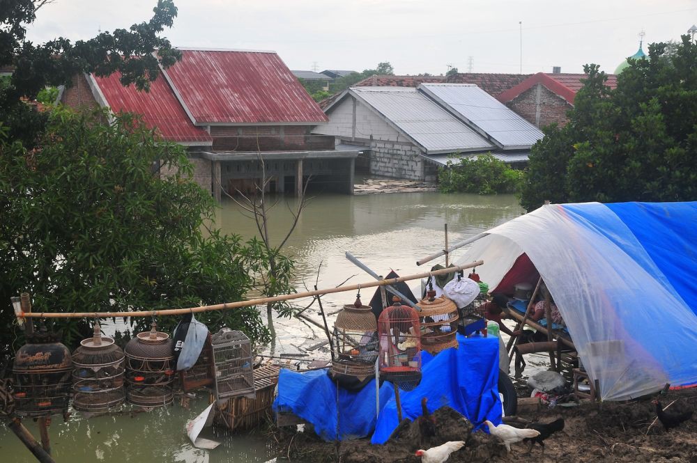 BPBD Ungkap 7 Rumah Rusak Akibat Banjir Terjang Semarang