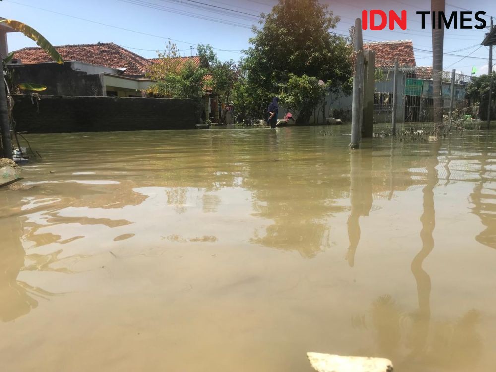 Rumah Warga Demak Masih Terendam Banjir, Jalur Pantura Mulai Dilewati