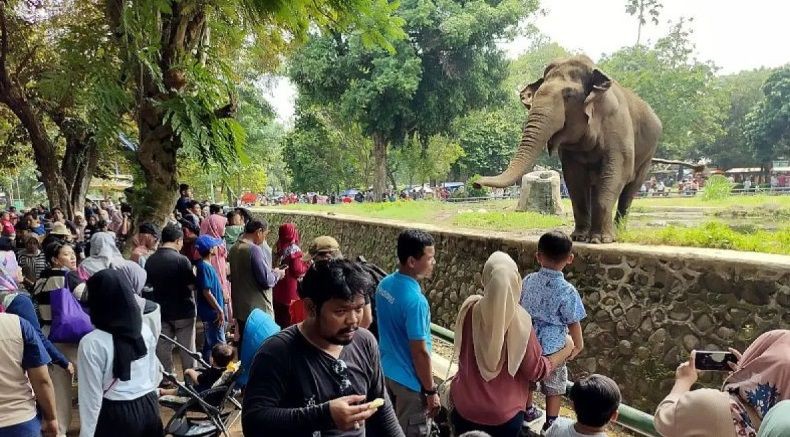Hari Kedua Lebaran, 2.500 Orang Padati Kebun Binatang Bandung
