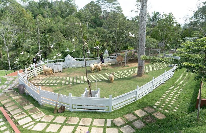 7 Rekomendasi Wisata Satwa dan Kebun Binatang di Lampung!