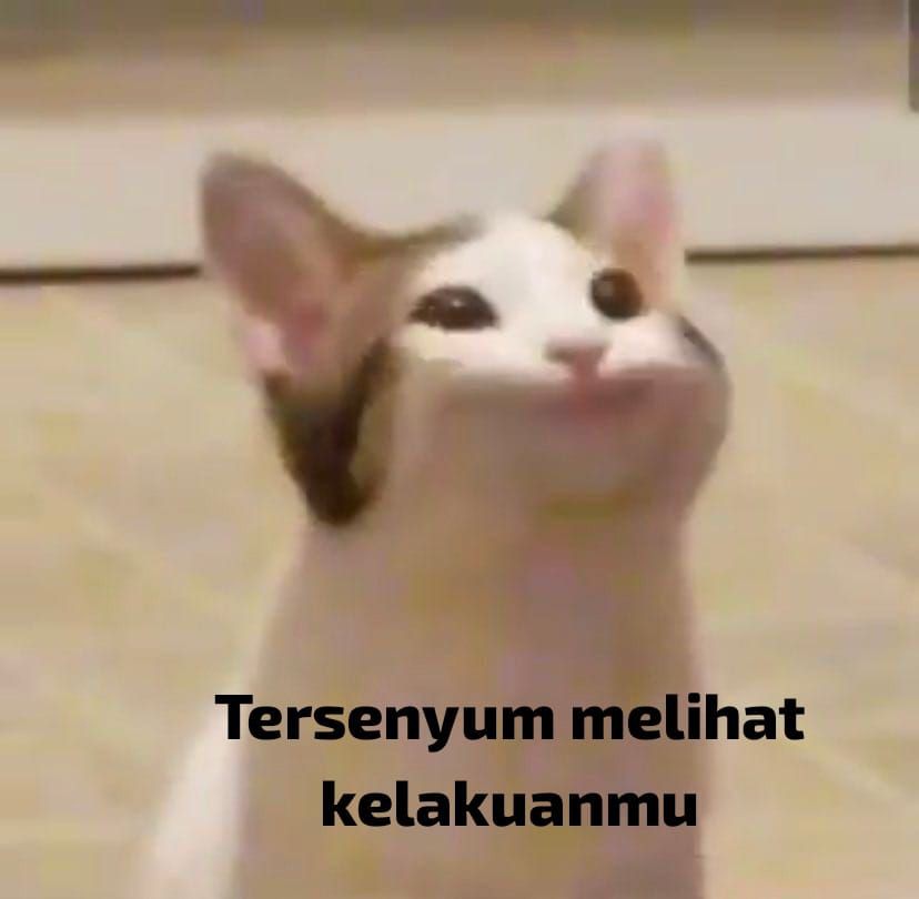 9 Meme Kucing Senyum yang Lucu, Ampuh Jadi Mood Booster