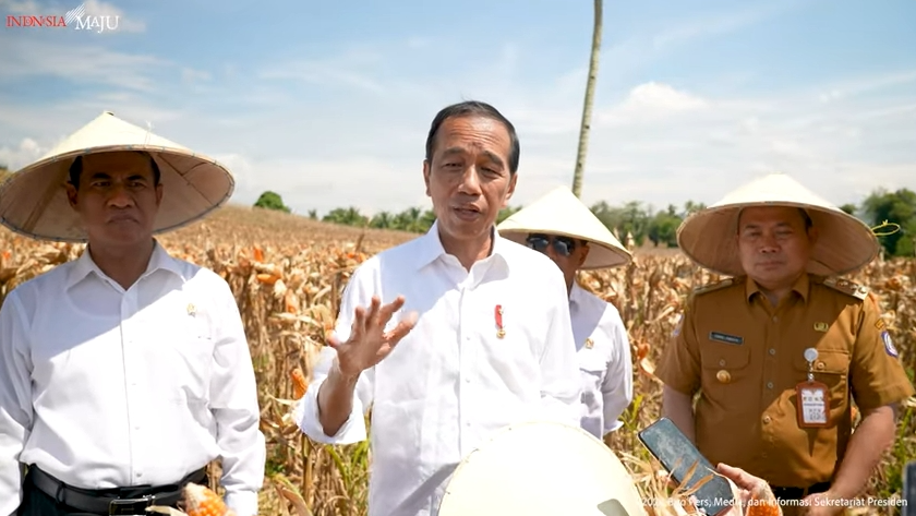 Di Gorontalo, Jokowi Dorong Produktivitas Pertanian Jagung