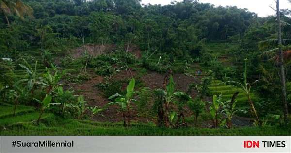 Detik-detik Mengerikan Longsor Tebing Setinggi 120 Meter Di