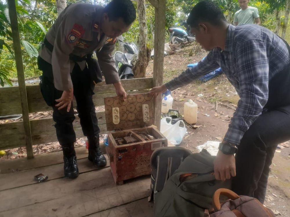 Tersengat Listrik Jerat Babi, IRT Tewas di Kebun Kopi Lampung Barat