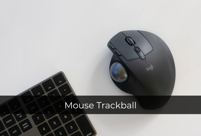 [QUIZ] Dari Jenis Mouse Pilihanmu, Kami Bisa Tebak Karaktermu