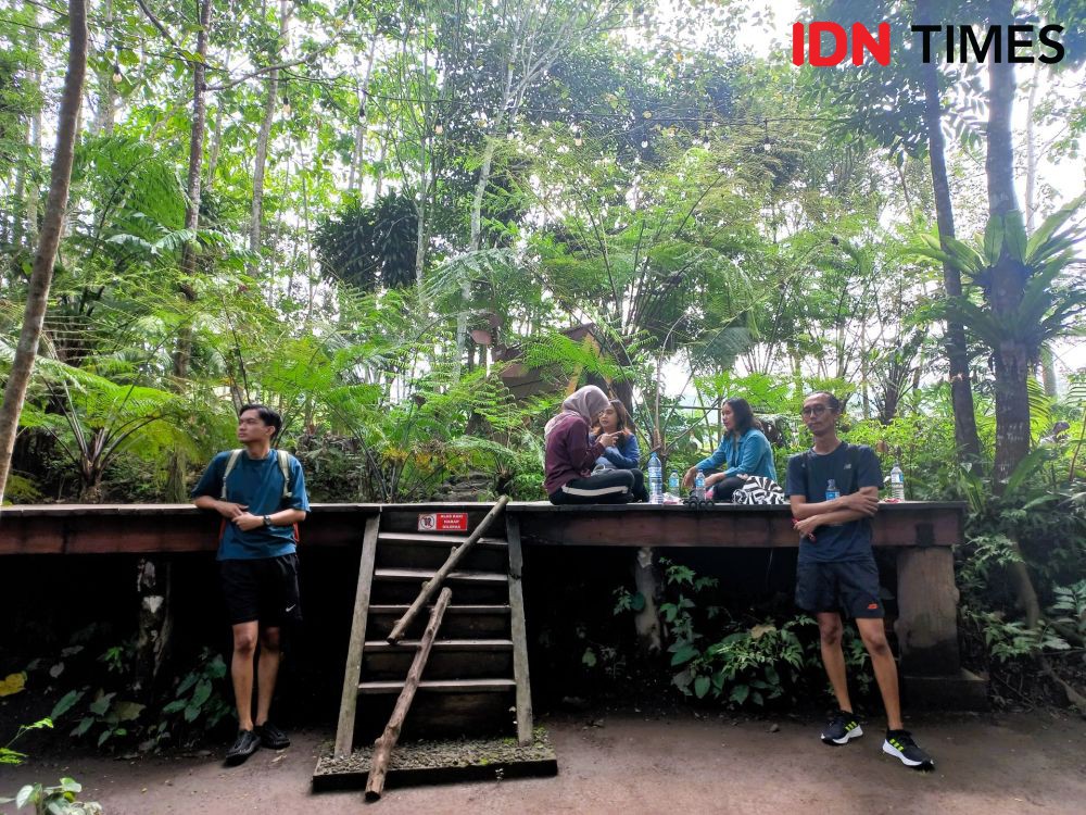 Tankaman: Hiking di Lereng Merapi dengan Pemandangan Ajaib