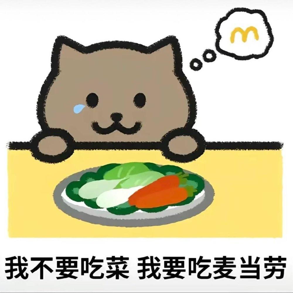 Siapa Itu Fat Cat China yang Viral di TikTok?