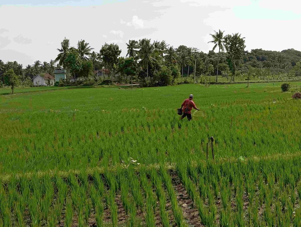 Wamentan Minta Bantuan Kodam Diponegoro Tambah Areal Tanam saat Kemarau