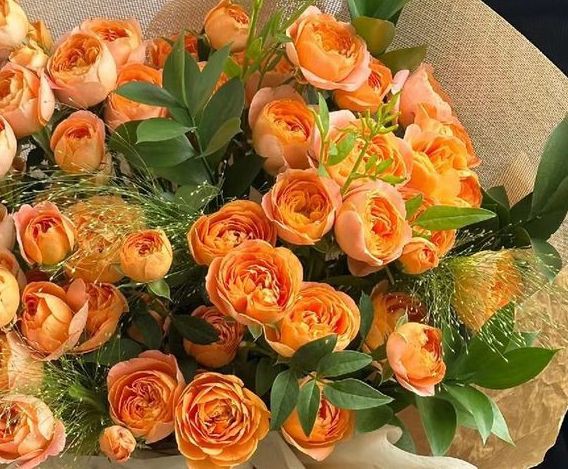 6 Makna Bunga Mawar Berdasarkan Warna dan Jenisnya!