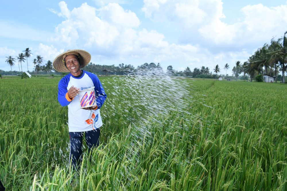 Bulog Jatim Serap 90.381 Ton Beras Petani