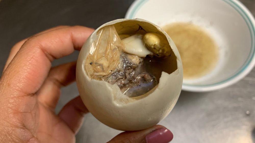 Apakah Balut Halal Dikonsumsi? Ini Jawabannya!