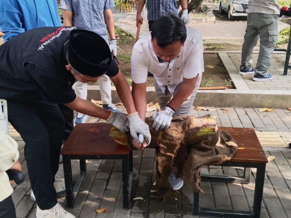 Jateng Siapkan 1.000 Juleha untuk Sambut Perayaan Idul Adha