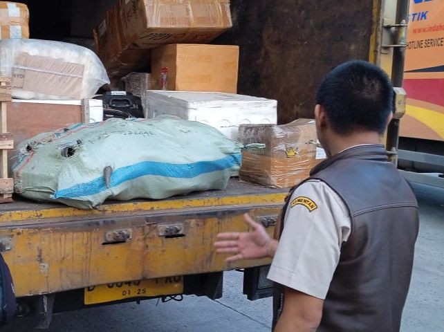 Penampakan 70 Tanduk Kerbau Asal Jambi Disita di Pelabuhan Bakauheni