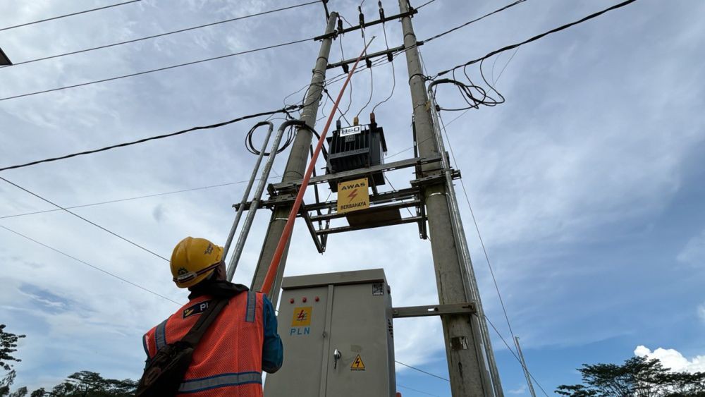 Peternak di Ogan Ilir Terdampak Blackout, Ratusan Ayam Mati