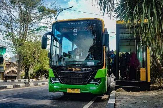 Bus Trans Jatim Bunder - Paciran Ditarget Agustutus