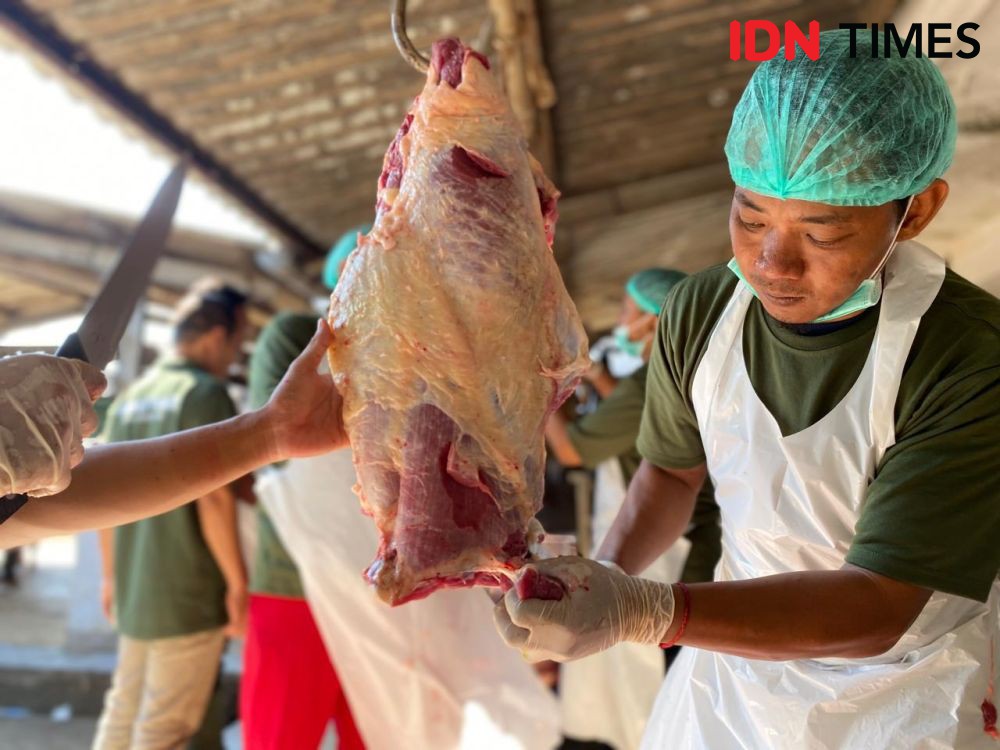 Disnak Jatim Pastikan Hewan Kurban Bebas Penyakit