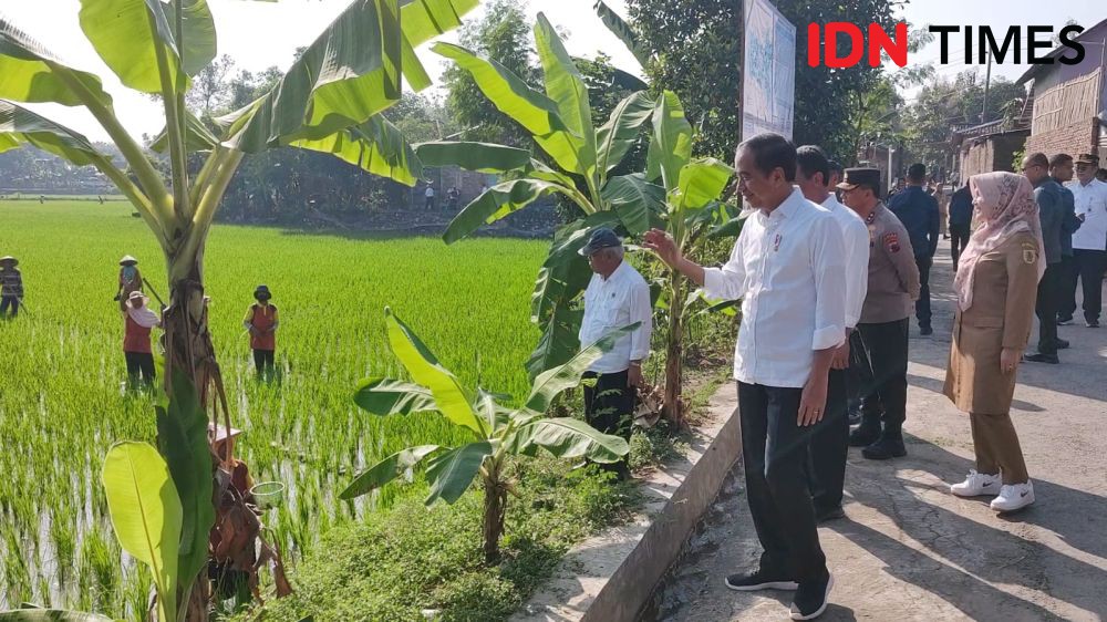 Jokowi: Program Pompanisasi Tingkatkan Produktivitas Beras di Jateng