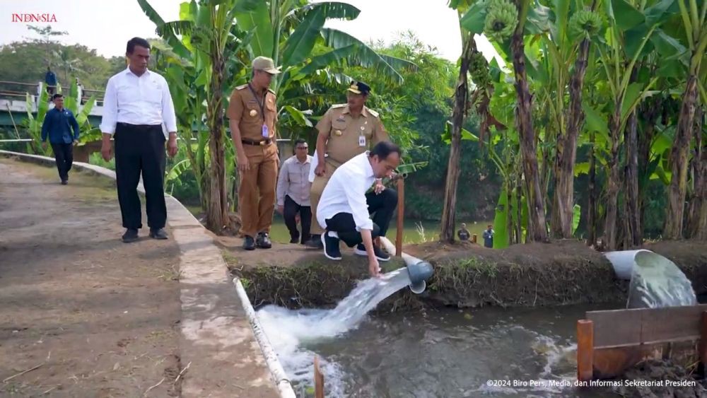 Jokowi: Program Pompanisasi Tingkatkan Produktivitas Beras di Jateng