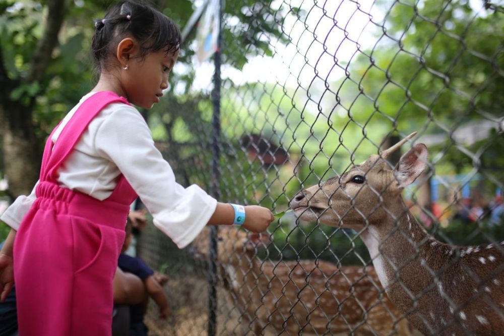 Libur Maulid Nabi, 4.500 Wisatawan Kunjungi Bandung Zoo